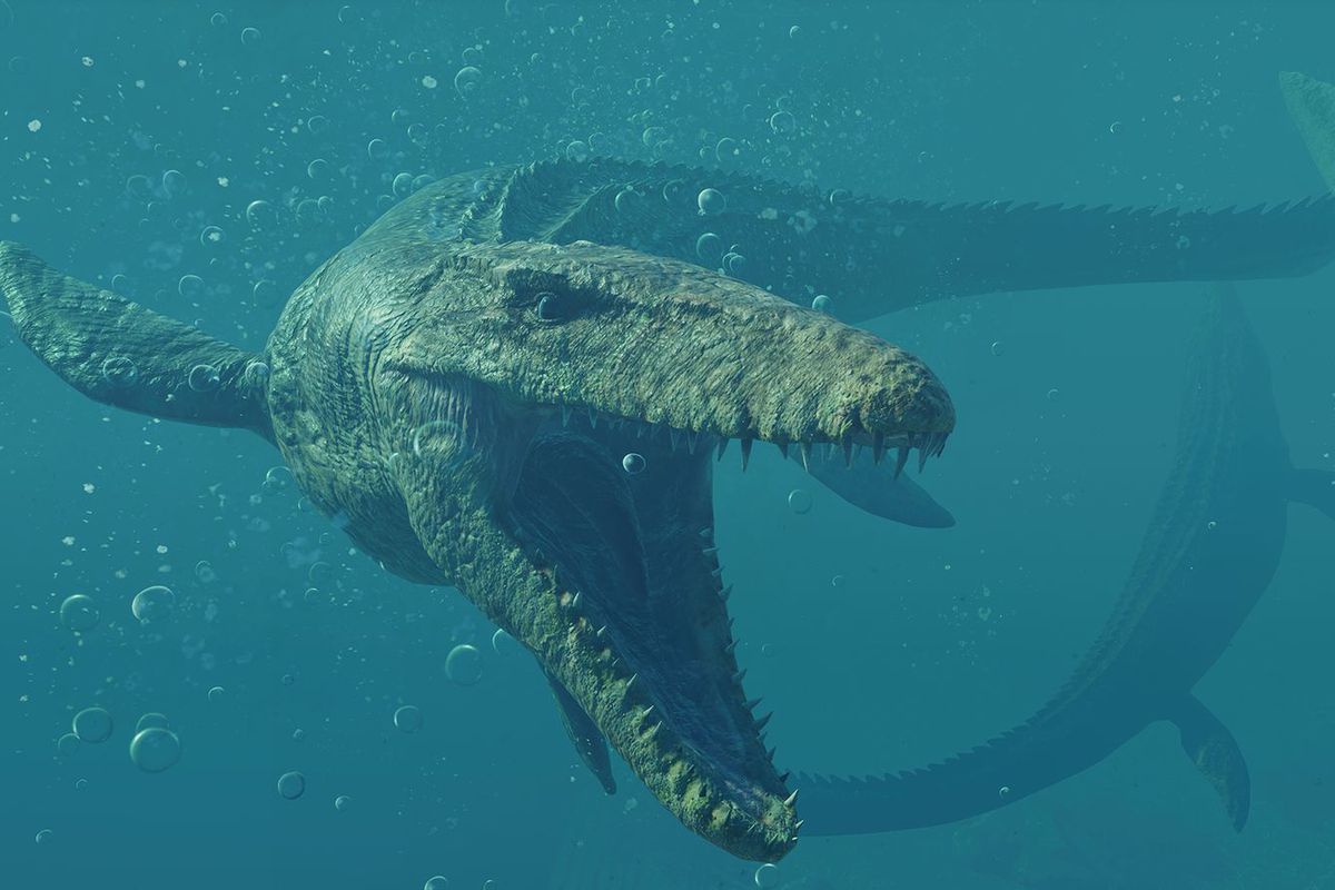 Mosasaurus