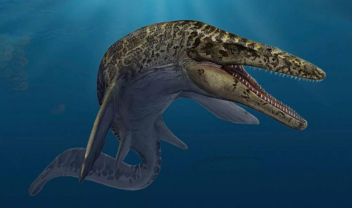 Mosasaurus